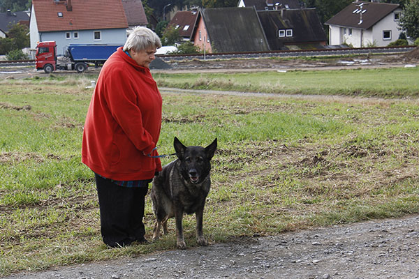 zu Bild 3 